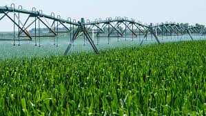 Agriculture